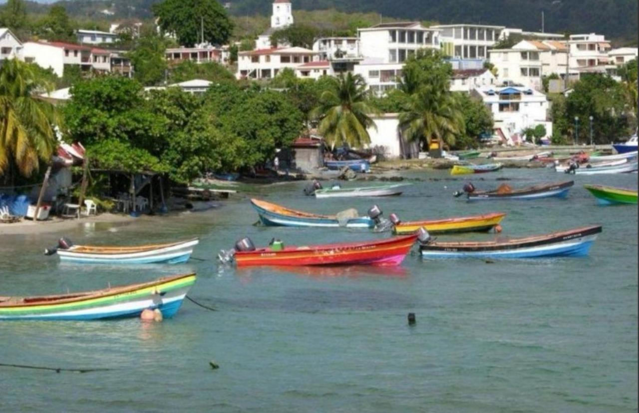 T2 Les Pieds Dans L'Eau Face A La Mer Des Caraibes Sainte Luce - Trois Rivieres Kültér fotó