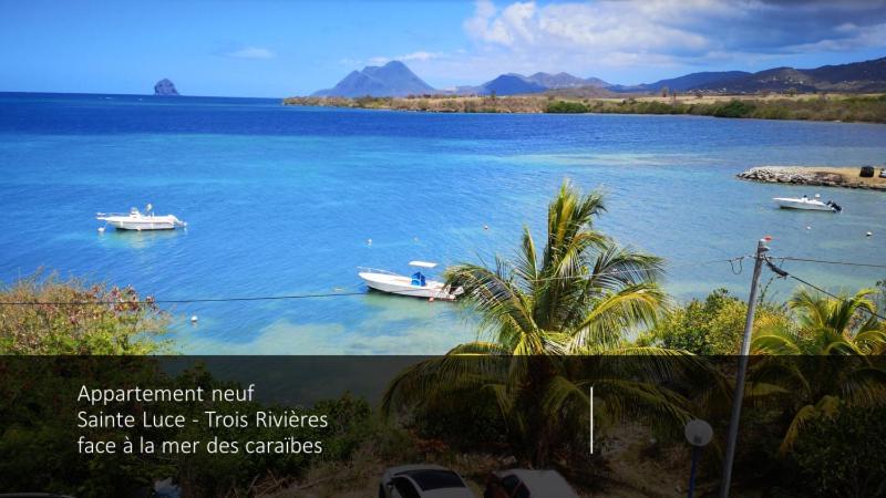 T2 Les Pieds Dans L'Eau Face A La Mer Des Caraibes Sainte Luce - Trois Rivieres Kültér fotó